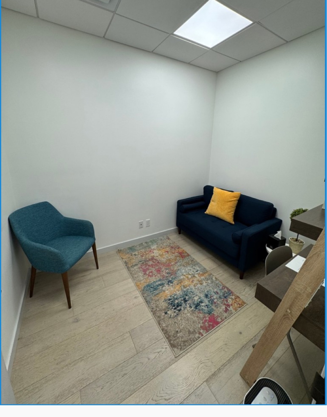 Consultation room at Robin Warner Neurology — blue armchair facing a navy couch over a patterned rug